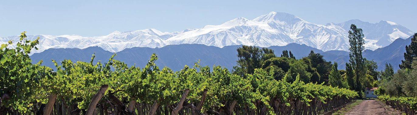 Essential South America featuring Chile, the Mendoza Wine Region & Buenos Aires